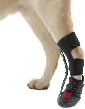 Strap-On Drop Foot Brace (No Knuckling Boot Brace) for Dogs— Corrective Dog Shoes to Safely Lift Toes for Foot Issues, Arthritis, and improving Walking gait in Dogs(M)