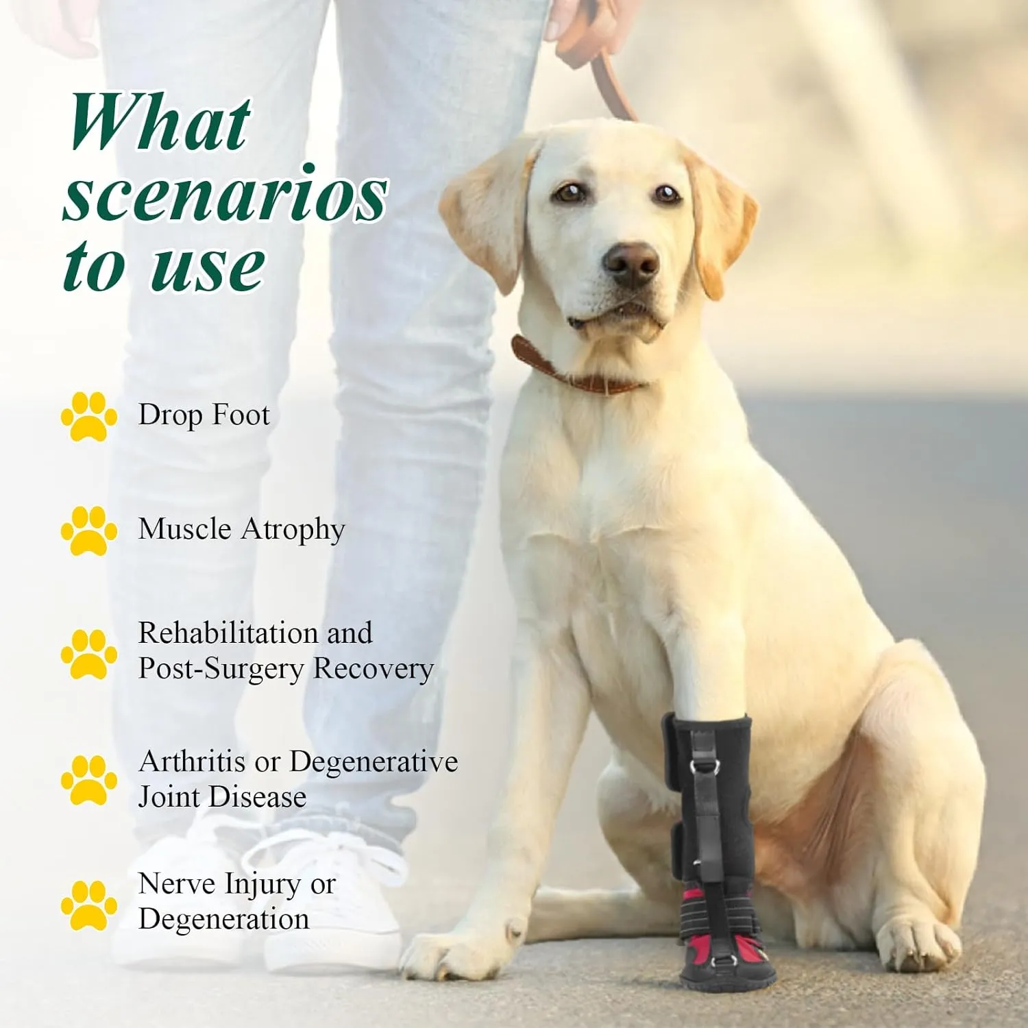 Strap-On Drop Foot Brace (No Knuckling Boot Brace) for Dogs— Corrective Dog Shoes to Safely Lift Toes for Foot Issues, Arthritis, and improving Walking gait in Dogs(M)