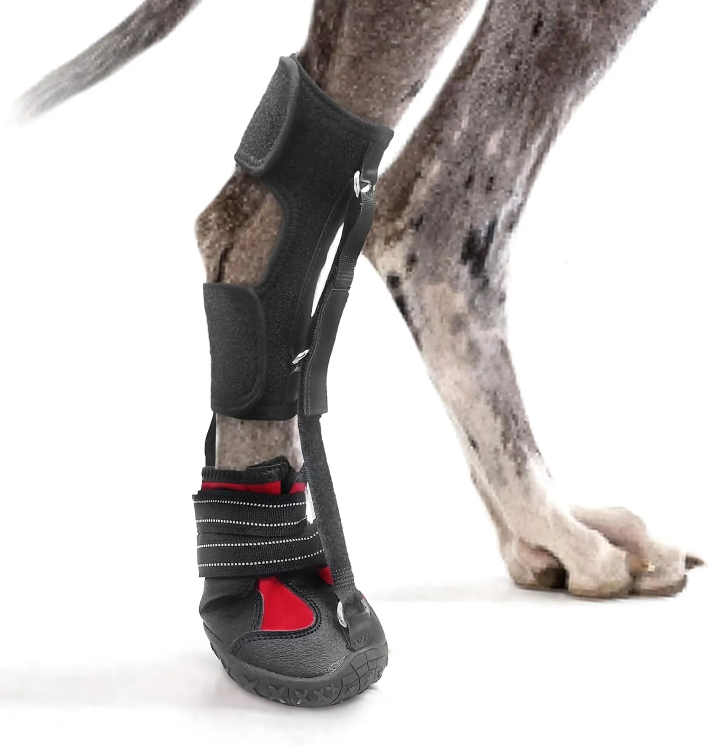 Strap-On Drop Foot Brace (No Knuckling Boot Brace) for Dogs— Corrective Dog Shoes to Safely Lift Toes for Foot Issues, Arthritis, and improving Walking gait in Dogs(XL)