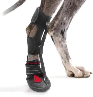 Strap-On Drop Foot Brace (No Knuckling Boot Brace) for Dogs— Corrective Dog Shoes to Safely Lift Toes for Foot Issues, Arthritis, and improving Walking gait in Dogs(XL)